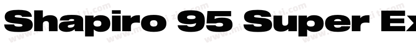 Shapiro 95 Super Extd字体转换